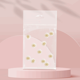 Naturaleza Muerta Margarita blanca