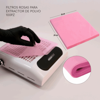 Filtros para extractor 100 pz rosas Miss Cherry